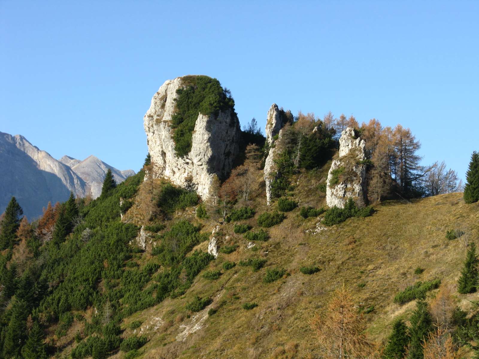 Cimon de Cajada: sulle tracce dei camosci.